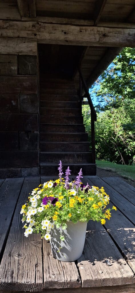 flowers on the Baker Cabin porch