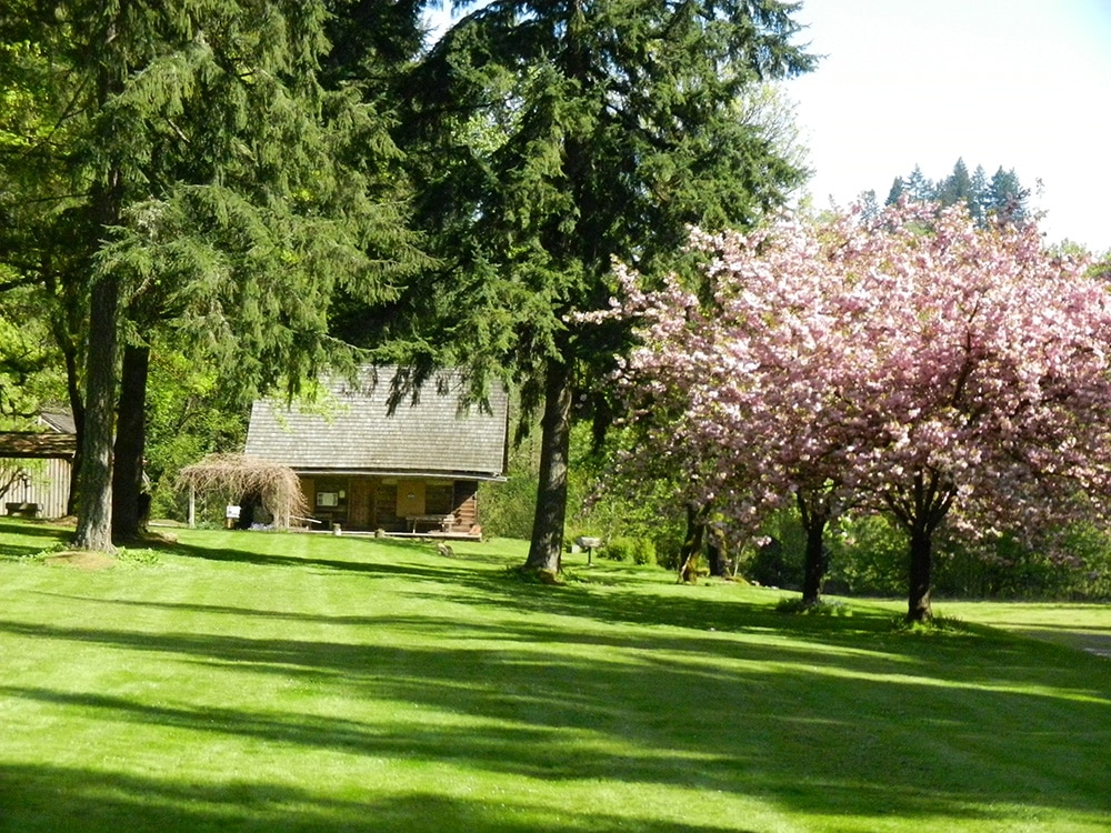 Springtime blossoms at the Baker Cabin